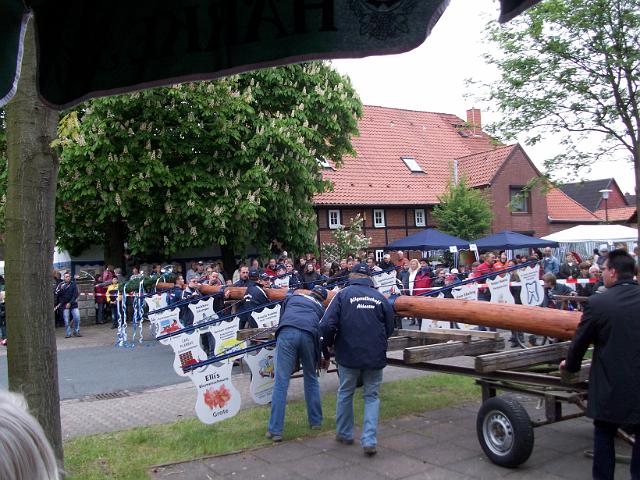 Maibaum 008.jpg